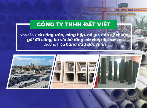 Công Ty TNHH Đất Việt